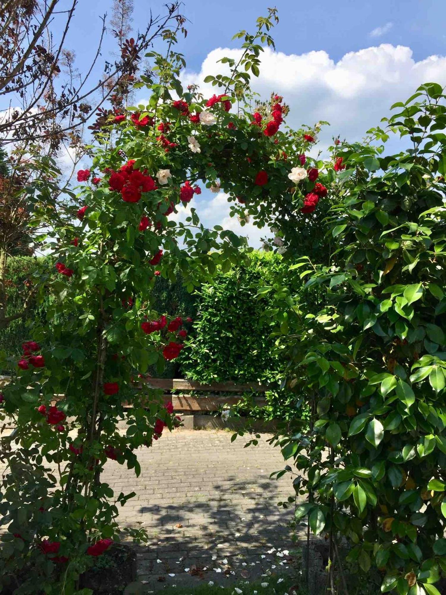 Appartamento Ferienhaus Windmuehlenweg Mit Garten Spenge Esterno foto