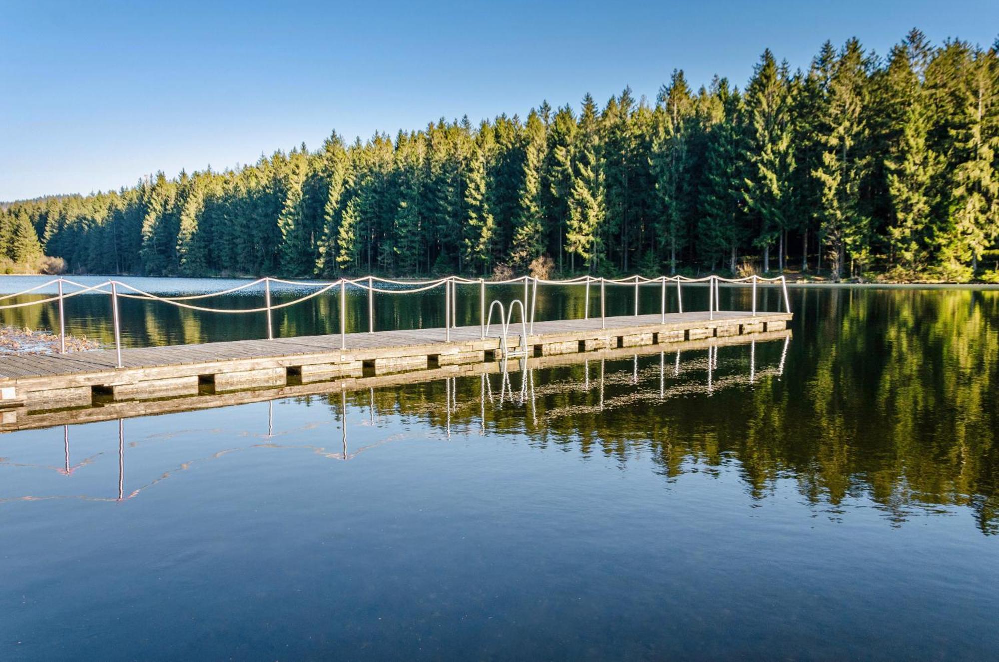 Appartamento Ferienhaus Windmuehlenweg Mit Garten Spenge Esterno foto